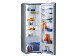 Холодильник Gorenje R67367E (137547, HKS3666PF) - Фото